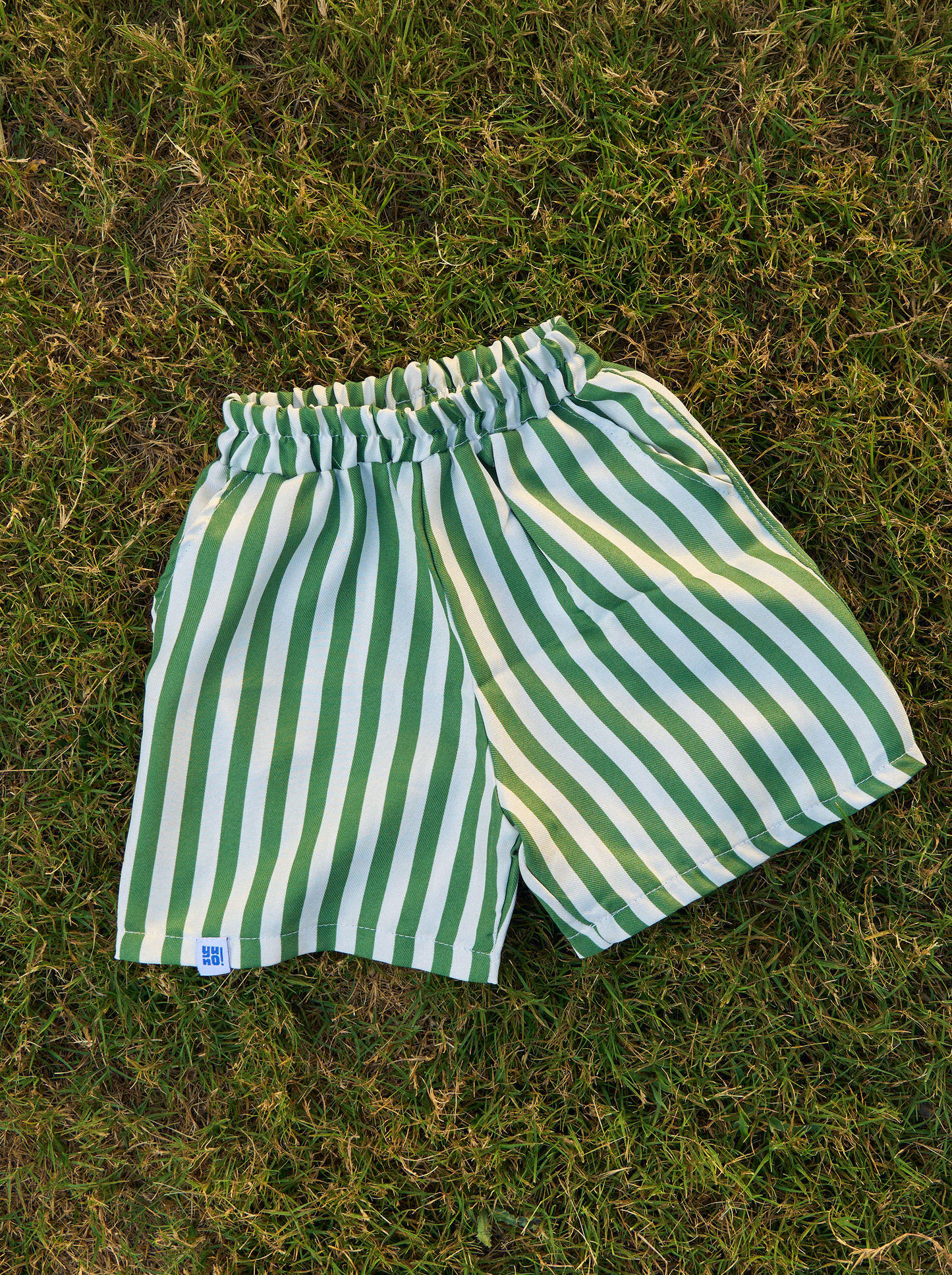 Cabana Stripe Shorts