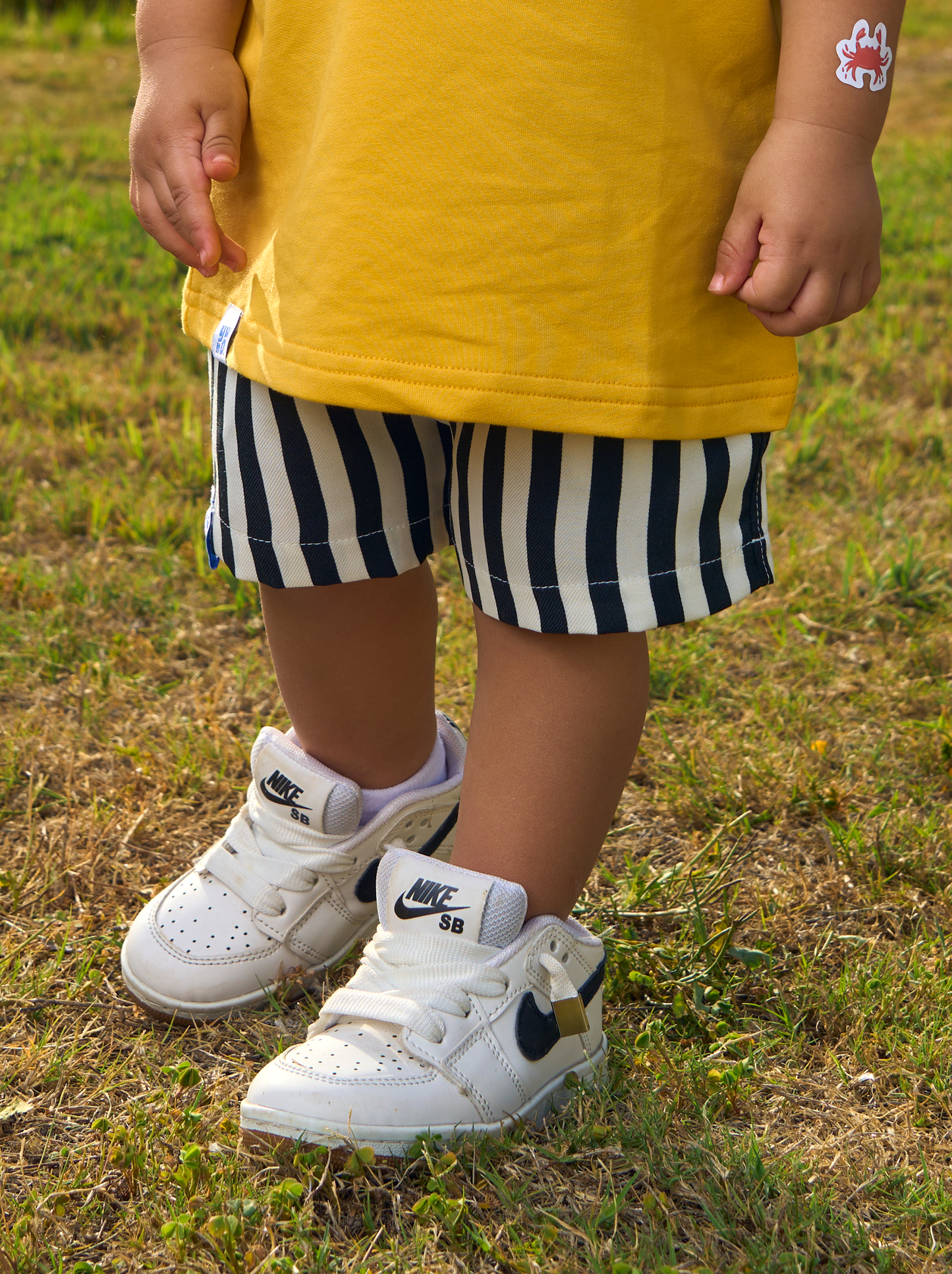 Cabana Stripe Shorts