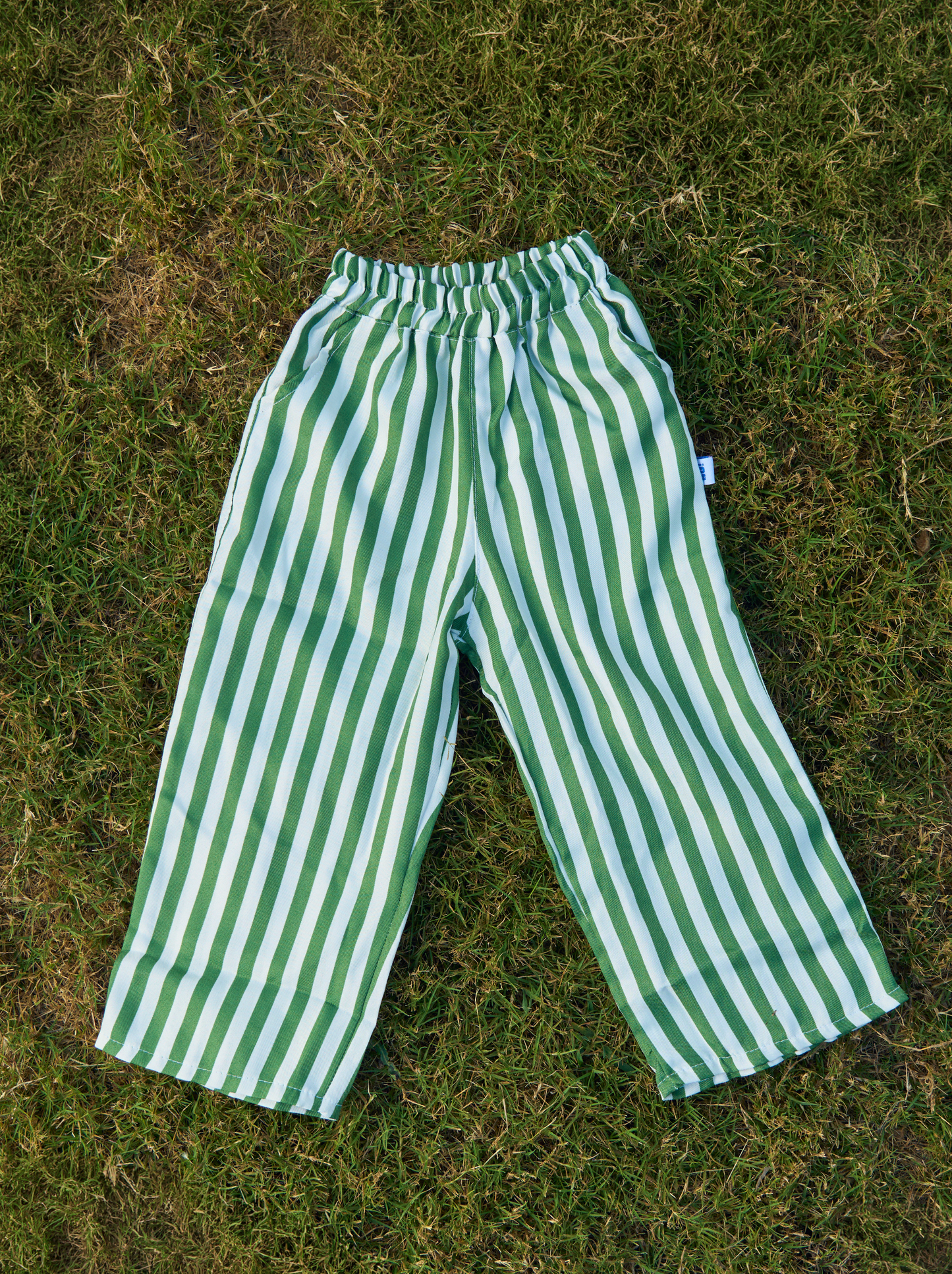 Cabana Stripe Pants