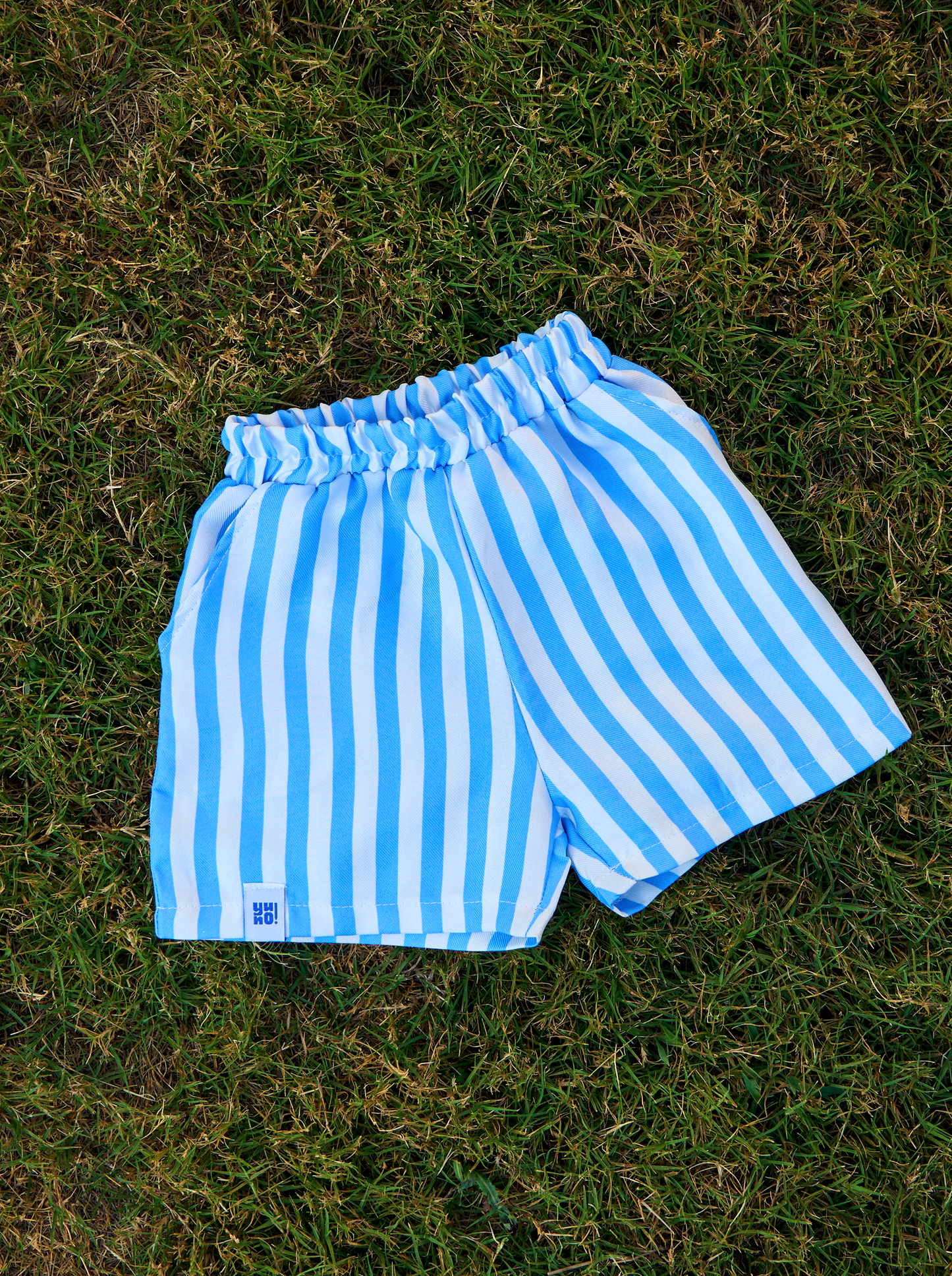 Cabana Stripe Shorts