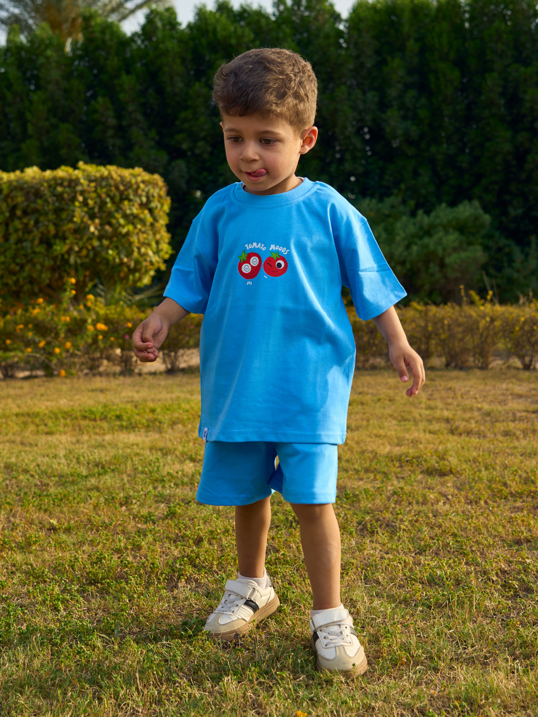 Tomato Moods Set — Blue