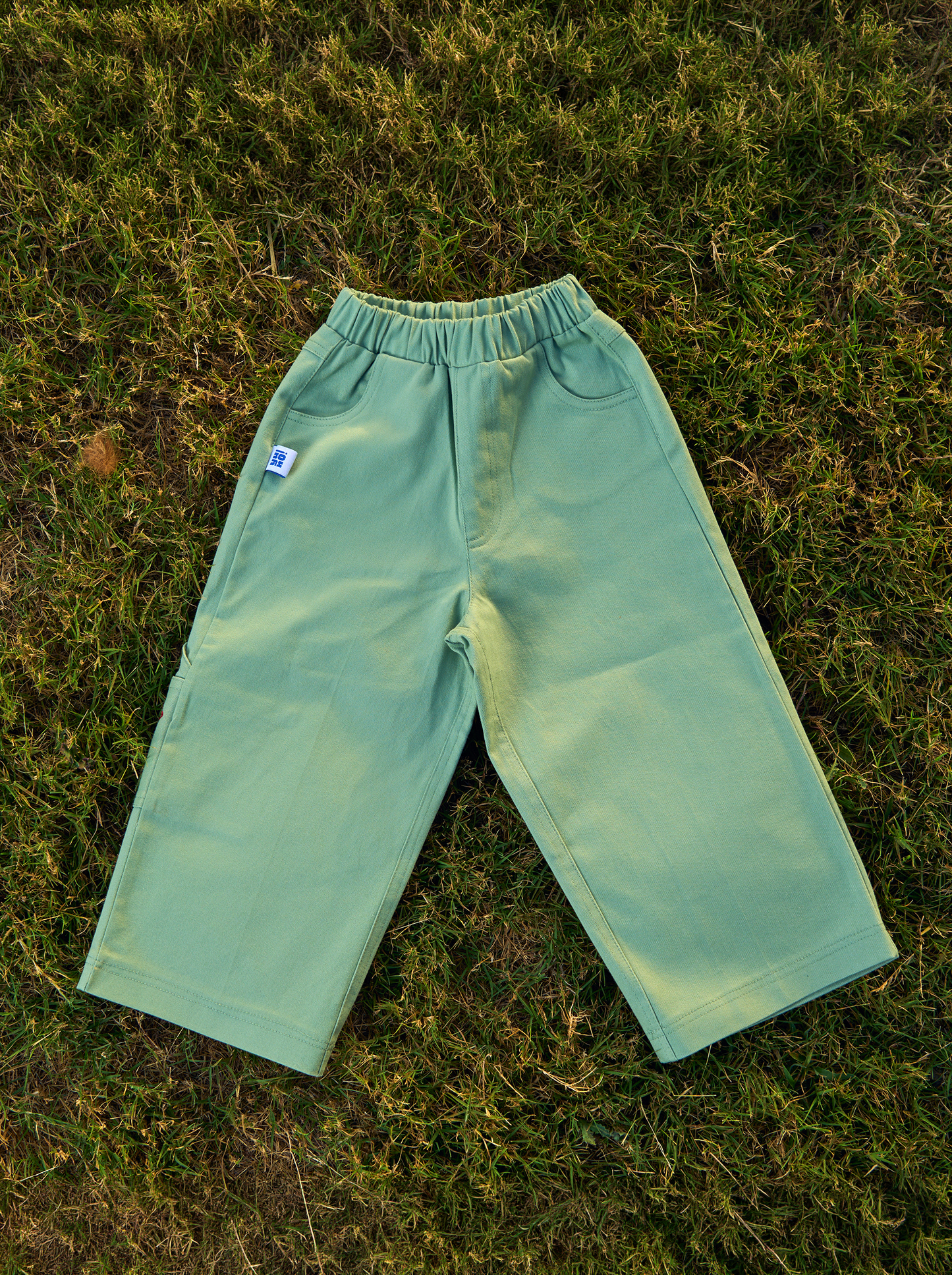 On Fire Pants — Sage